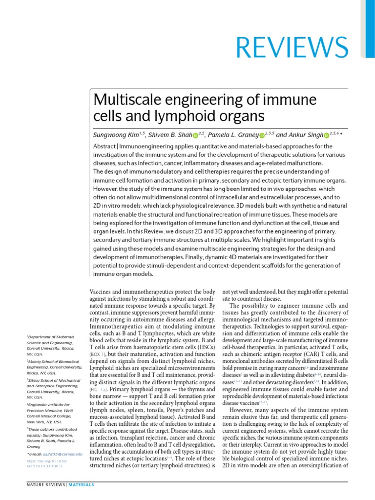 Reviews: Multiscale Engineering of Immune Cells and Lymphoid Organs ...