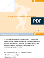 Apparato Cardio