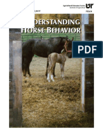 UnderstandingHorseBehavior.pdf