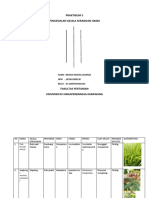 Praktikum 5 Reginah-Dikonversi