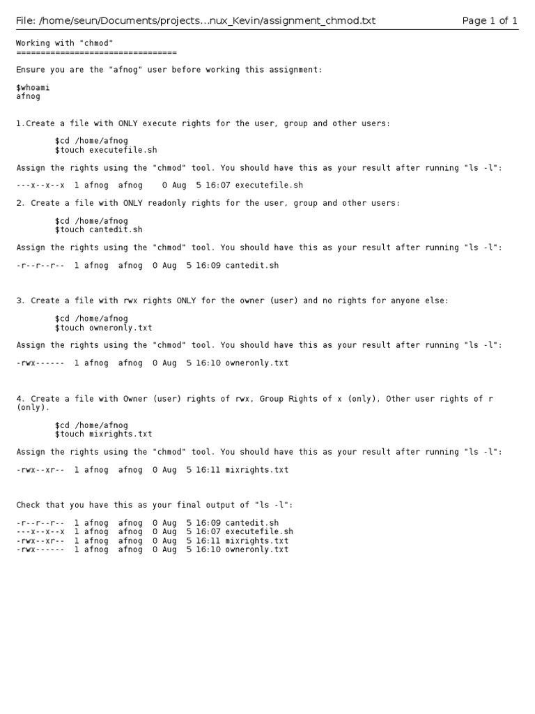 Managing File Permissions with Chmod | PDF | Computers