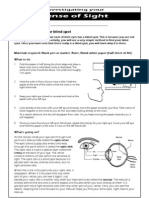 Lesson 3 Eyesight Student Worksheet