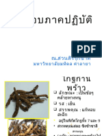 สมุนไพรแห้ง PDF