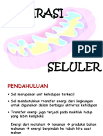 Respirasi Seluler