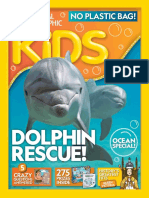 Kid Dolphin Rescue