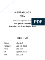 Jaga Nicu