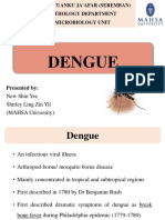 Dengue Fever Presentation