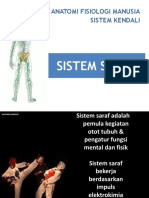 Sistem Saraf3 Refisi 2013
