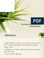 The Plant Body: Tissues and Meristem