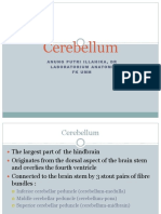 Cerebellum: Anungputriillahika, DR Laboratoriumanatomi Fkumm