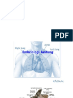 embriologi jantung.pptx