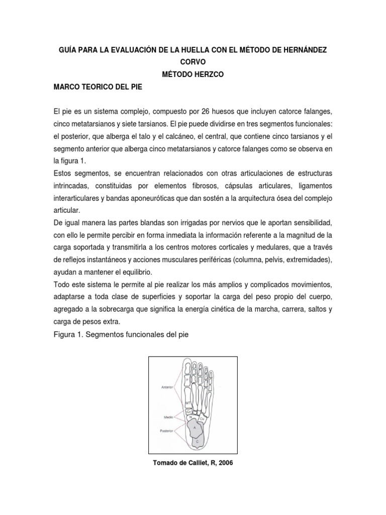 Guia Podometria | PDF | Pie | Sistema musculoesquelético