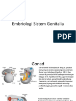 Embriologi Sistem Genitalia.pptx