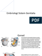 Embriologi Sistem Genitalia