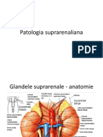 8 Nov 2017 - Patologia Suprarenaliana - Dr. Sirbu