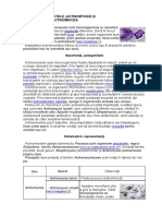 -ACTINOMICETELE.docx