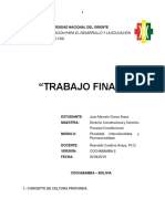CULTURA TRABAJO FINAL MARCELO CLAROS 02-06-19.docx