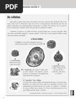 Dial7cp Teste Escrita 1