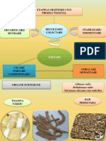 farmacognozie curs 1 sem 1.pptx