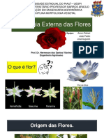 Morfologia Das Flores