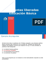 PREGUNTAS INICIA BASICA.pdf