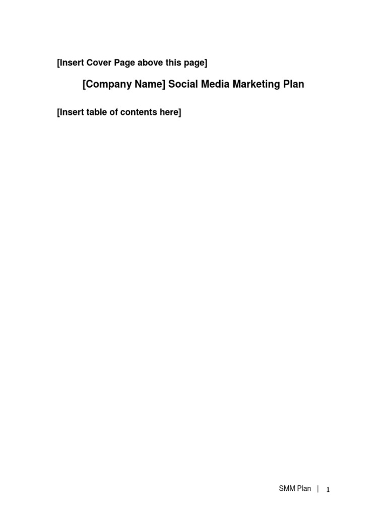 SMM Plan Template PDF Target Audience Performance Indicator