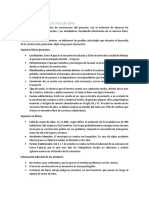 Reporte de La Visita A Sitio de Obra y Riesgos