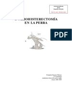Ovariohisterectomía en La Perra