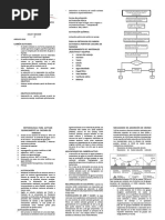Triptico Carbon Activado de Naranja