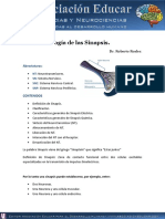 neurofisiologia-sinapsis.pdf
