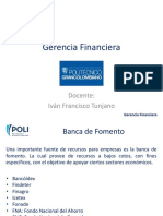 Presentación 3 Banca de Fomento