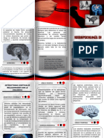 Neuropsicologia en La Violencia