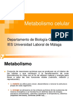 Metabolismo celular: glucólisis y ciclo de Krebs