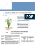 Padi PDF Version-1