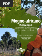 Mogno-Africano-08-10-2019