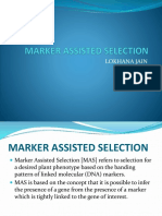 Marker Assisted Selection