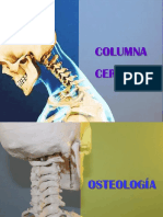 COLUMNA-CERVICAL fisioterapia.pptx