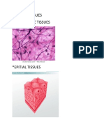 Types of Tissues Connective Tissues