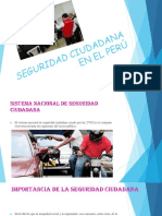 Seguridad Ciudadana Gean Fredy 2c DPPCC