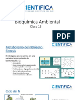 Bioquímica Ambiental - Clase13