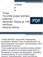 Studiul Individual Functiile Pulpei Dentare 
