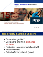 11 - RespiratorySystem