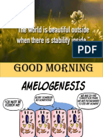 Amelogemnesis