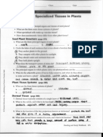 Plant Tissue Notes 1