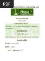 Introduction To Computing Lab: Assignment On Assignment Name