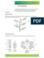 Leaf Classification