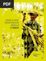 Cadena de Mandioca y Maiz 2014 PDF