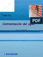 T11 Contaminacion Aguas