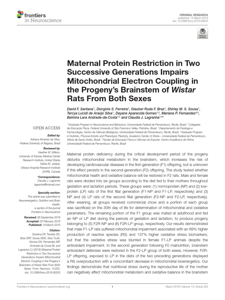 Fnins 13 00203 | PDF | Adenosine Triphosphate | Mitochondrion
