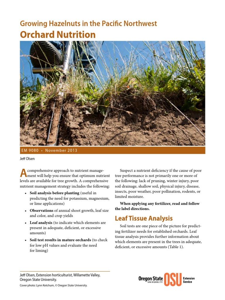 Growing Hazelnuts in The Pacific Northwest Orchard Nutrition PDF